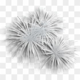 Fireworks Png Picture - Silver Fireworks Transparent Background, Png Download - firework png