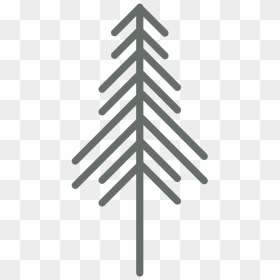 Pine-tree - Christmas Tree, HD Png Download - pine tree png