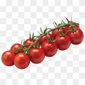 Tomato Cherry On Vine , Png Download - Tomato Cherry On Vine, Transparent Png - vine png
