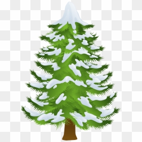 Transparent Pine Tree Clipart, HD Png Download - pine tree png