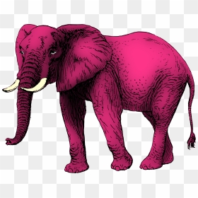 Pink Elephant Clip Arts - Pink Elephants Png, Transparent Png - elephant png
