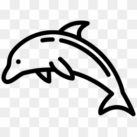 Dolphin - Dolphin Icon Png, Transparent Png - dolphin png