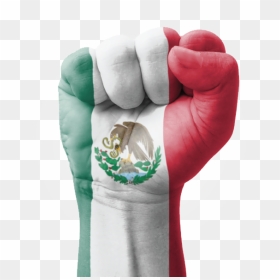This Is Mexico Mexico - Flag Of Mexico, HD Png Download - fist png