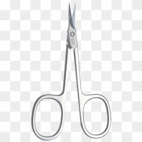 Scissor Png Download Image - Nail Scissors Png, Transparent Png - scissors png