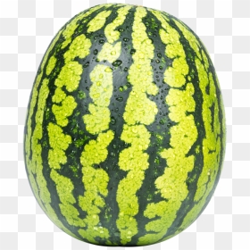 Watermelon Png - Watermelon Manipulation In Photoshop, Transparent Png - watermelon png