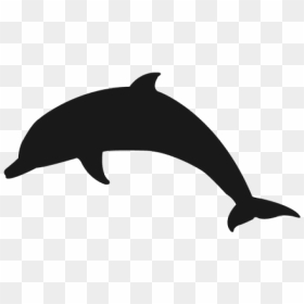 Dolphin Png Transparent Images - Dolphin Stencil, Png Download - dolphin png