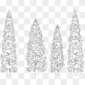 Pine Tree Clip Art Black And White - White Pine Trees Black Background, HD Png Download - pine tree png