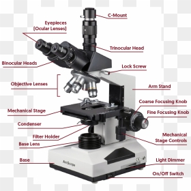 Inclination Joint In Microscope , Png Download - Phase Contrast Microscope, Transparent Png - joint png