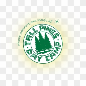 Tall Pine Tree Png , Png Download - Tall Pines Day Camp, Transparent Png - pine tree png