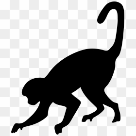 Monkey Png , Png Download, Transparent Png - monkey png