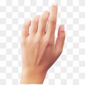Hands Png, Hand Image Free Png Download - Transparent Transparent Background Hand Png, Png Download - hands png