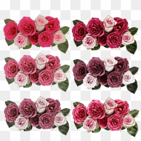 Png Jardim De Flores , Png Download - Rose, Transparent Png - flores png
