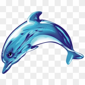 Cute Dolphin Png - Dolphin Cute Png, Transparent Png - dolphin png