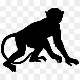 Monkey - Silhouette Monkey Png, Transparent Png - monkey png