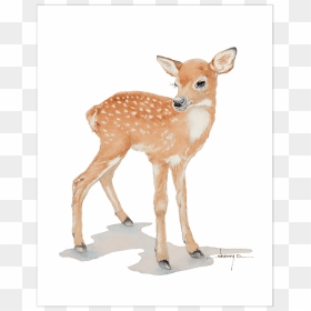 Thumb Image - Clip Art Of A Baby Deer, HD Png Download - deer png
