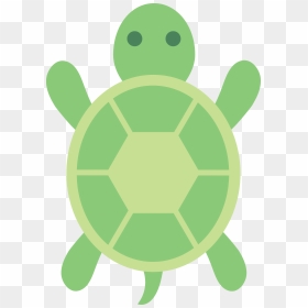Clip Art Turtle, HD Png Download - turtle png
