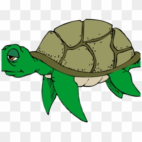 Sea Turtle Clipart Cute - Sea Turtle Download Clipart, HD Png Download - turtle png