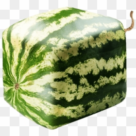 Square Watermelon Transparent Png - Different Shape Of Water Melon, Png Download - watermelon png