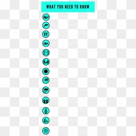 Whatyouneedtoknowkdea - Dolphin - Circle, HD Png Download - dolphin png