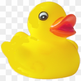 Thumb Image - Transparent Background Duck Png, Png Download - duck png
