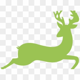 Gazelle Clipart Deer - Hd Antelope Running, HD Png Download - deer png