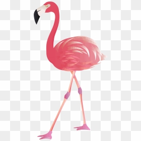 Transparent Background Flamingo Clipart Png, Png Download - png pictures