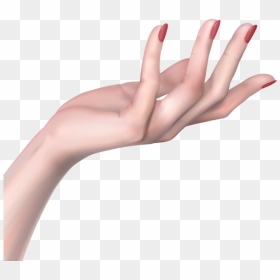 Woman Hand Png Clip Art Image - Woman Hand Png, Transparent Png - hands png