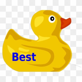 Rubber Duck Png Icons - Rubber Duck Clip Art, Transparent Png - duck png