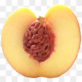 Half Peach Png Image - Peach Cut In Half, Transparent Png - peach png