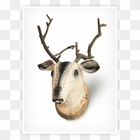 Deer , Png Download - Reindeer, Transparent Png - deer png