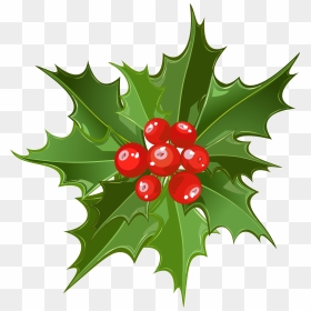 Christmas Mistletoe Clipart Png , Png Download - Mistletoe Hd, Transparent Png - mistletoe png