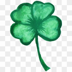 Shamrock Png, Transparent Png - shamrock png