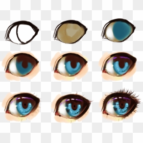How To Draw Anime Eyes Female Pictures And Cliparts, - Beautiful Anime Eyes Drawing, HD Png Download - anime eyes png