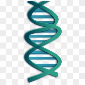 Dna Png - Dna Clip Art, Transparent Png - dna png