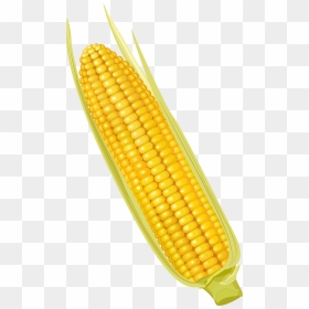 Corn On The Cob Maize Corncob Vegetable - Corn On The Cob Png, Transparent Png - corn png