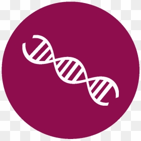 Thumb Image - Circle, HD Png Download - dna png
