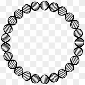 Dna Circle Gene Clip Art - Circle Outline Design Png, Transparent Png - dna png