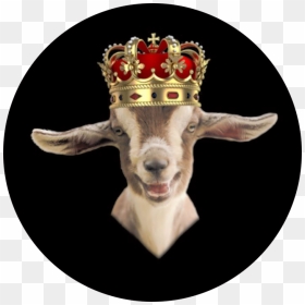 Goat With King Crown , Png Download - Animal Sloth Wearing Crown, Transparent Png - king crown png