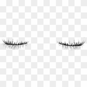 Closed Eyelashes Png - Eyelash Extensions, Transparent Png - eyelashes png