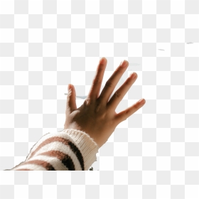 Tan, HD Png Download - blur png