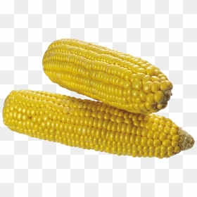 Corn Png Image, Transparent Png - corn png