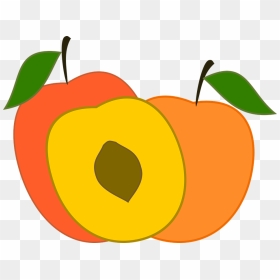 Peach Transparent Vector, HD Png Download - peach png