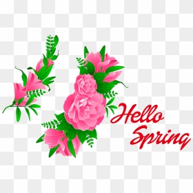 Hello Spring Png Free Images - Garden Roses, Transparent Png - spring png