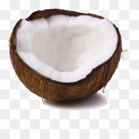 Coconut Transparent Images Only - Wood, HD Png Download - coconut png