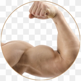 Strong Muscle Arm Png Transparent Image - Transparent Arm Muscle Png, Png Download - arm png