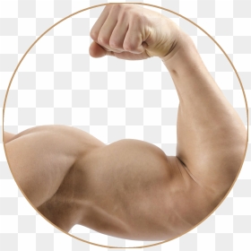 Strong Muscle Arm Png Transparent Image - Transparent Arm Muscle Png, Png Download - arm png