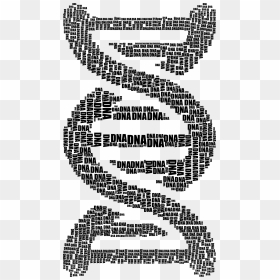 Dna Strand Word Cloud Typography Black Clip Arts - Word Cloud In Dna, HD Png Download - dna png