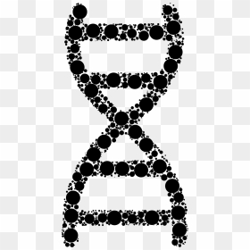 Dna Nucleic Acid Double Helix Ios Jailbreaking Polymerase - Nucleic Acid In A Human, HD Png Download - dna png