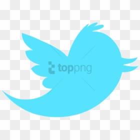 Free Png Twitter Icon Without Background Png Image - Twitter Social Media, Transparent Png - twitter png logo