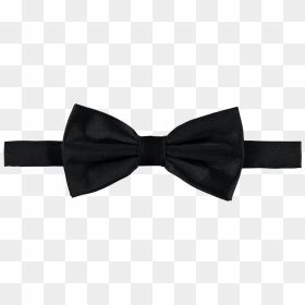 Bow Tie Necktie Tuxedo Satin Black Tie - Black Gucci Bow Tie, HD Png Download - bow tie png